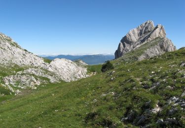 Excursión Senderismo Villard-de-Lans - Tour des Aretes du Gerbier - Photo