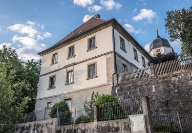 Tocht Te voet Königsfeld - Kapellenweg Königsfeld - Grüne Route - Photo