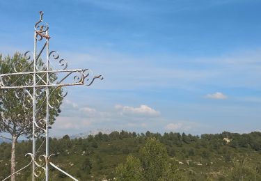 Tocht Stappen Aix-en-Provence - Aix Roi René Croix du Montaiguet - Photo