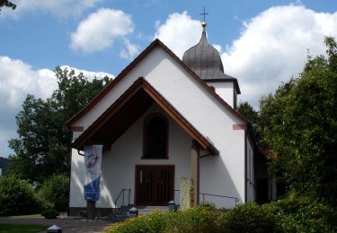 Tocht Te voet Kreuztal - Vollquadrat Krombach - Osthelden - Photo