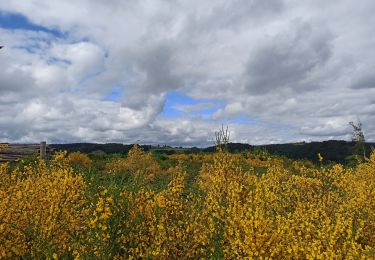 Tour Wandern Amont-et-Effreney - 25-05-22 effreney - Photo