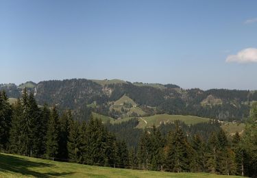 Trail On foot Schüpfheim - Fontanne - Hängelenflue - Photo