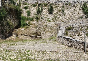 Excursión Senderismo Forcalquier - 20190513. Tour de Forcalquier à pied.  - Photo