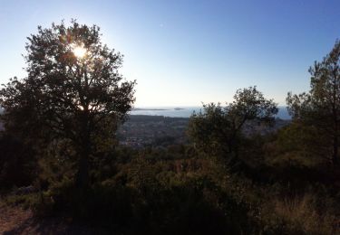 Trail Walking Six-Fours-les-Plages - Tour du Fort de Six Fours - Photo