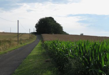 Randonnée A pied Kalletal - Ilsetal Rundweg A1 - Photo