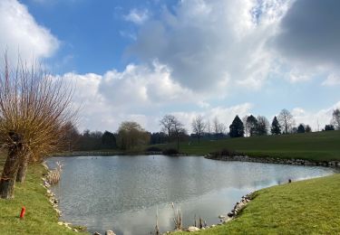 Tour Wandern Villers-la-Ville - Promenade de Rigenée - Photo