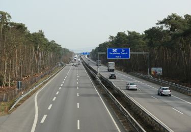 Percorso A piedi Sconosciuto - Rundweg 2, Buckelalleeweg - Photo