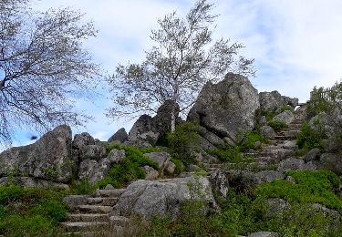 Tour Wandern Vollore-Montagne - Vollore_Pierre_Pamole - Photo