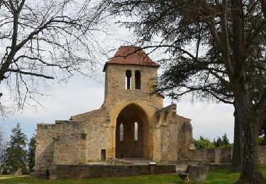 Randonnée Marche Vertaizon - Vertaizon_Puy_de_Mur_1 - Photo