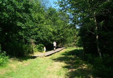 Trail Walking Sainte-Ode - mesa 3 Amberloup - Photo