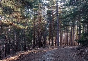 Tour Wandern Saint-Privat-de-Vallongue - 48 le pont de champermal  le 06/02/25 - Photo