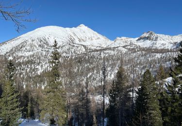 Tocht Sneeuwschoenen Saint-Martin-Vésubie - Ruine des Adus - Photo