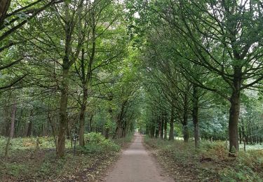 Tocht Stappen Eijsden-Margraten - Mheer - Noorbeek  - Photo