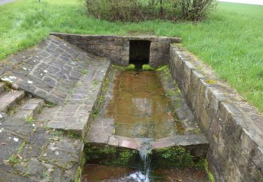 Trail On foot Altenbuch - Ortswanderweg Bischbrunn 5 - Photo