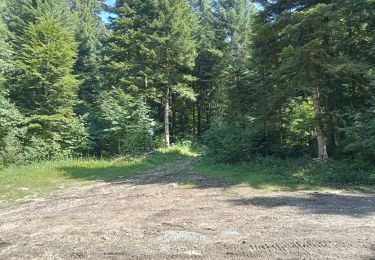 Trail Walking Chaux-des-Crotenay - camping et retour  - Photo
