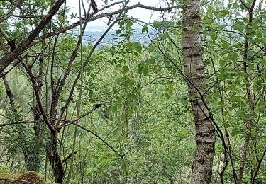 Trail Walking Differdange - Prenzebierg Giele Botter - Photo