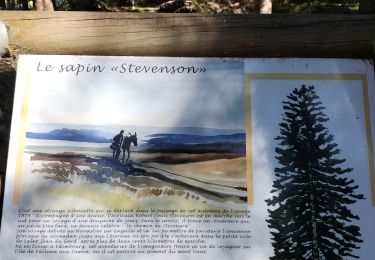 Tocht Stappen Cheylard-l'Évêque - chelard leveque - Photo