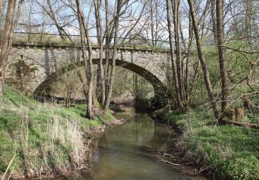 Tour Zu Fuß Seßlach - Rund um den Christenstein - Photo