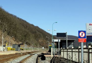 Tour Zu Fuß Haybes - Les Sentiers des Crêtes - Photo