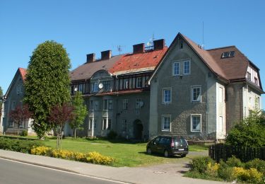 Tour Zu Fuß Jungbuch - NS okolo Pekelského vrchu - Photo