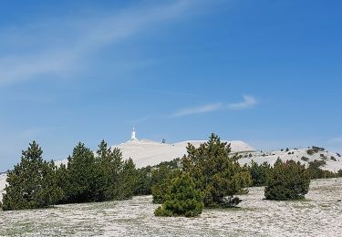 Randonnée Marche Brantes - Ventoux Signal  - Photo