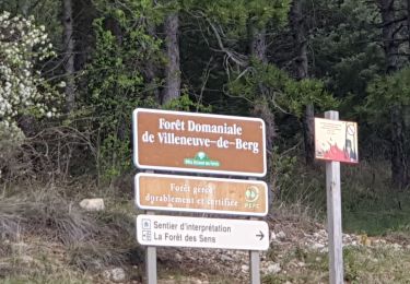 Tocht Stappen Villeneuve-de-Berg - la forêt des sens Villeneuve de Berg  - Photo