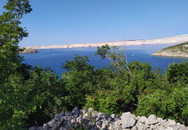 Excursión Senderismo  - randonnée matinale - Photo