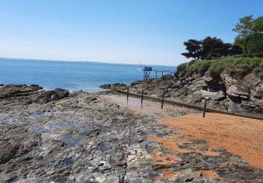 Randonnée Marche Pornic - pornic côte - Photo
