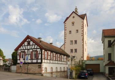 Tour Zu Fuß Bad Orb - Bad Orb Zubringerweg 22 (Haselruhe) - Photo