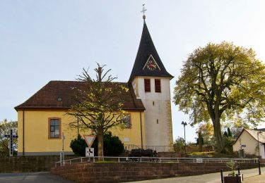 Randonnée A pied Gaiberg - Rund um Gaiberg - Photo