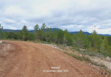 Randonnée Marche Saint-Clément-de-Rivière - St Clément de Rivière  - Photo