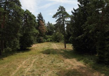 Trail On foot Dietfurt an der Altmühl - Kreuzbergweg - Photo