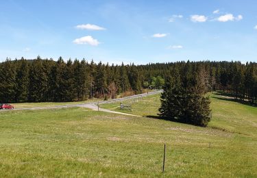 Percorso A piedi Sconosciuto - Gipfelwanderweg Suhl (Thüringer Wald) - Photo