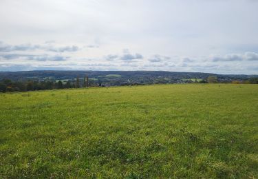 Tocht Stappen Namen - Malonne 151024 - Photo
