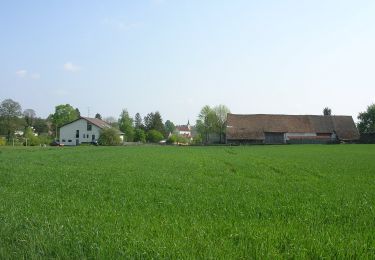 Tour Zu Fuß Novosedly nad Nežárkou - [Z] Stará Hlína - Pomník E. Destinnové - Photo