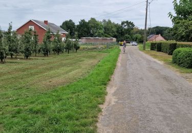 Tocht Wegfiets Rotselaar - Meanderroute (PVDB) - Photo