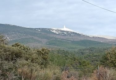 Randonnée Marche Bédoin - les baux  - Photo