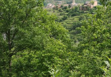 Tour Rennrad Saint-Rome-de-Tarn - castelnau Pegairolles - Photo