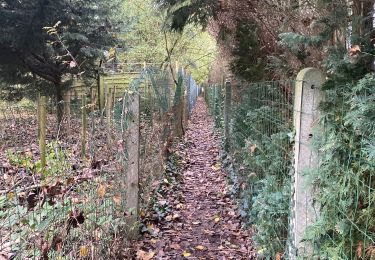 Tocht Stappen Brugelette - Brugelette - Fauleng - Gondregnies - Mevergnies - Photo