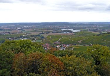 Randonnée A pied Löwenstein - WT12 Wald- und Wiesentour Löwenstein - Photo