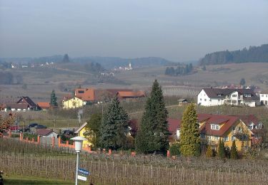 Randonnée A pied Wasserburg (Bodensee) - Nordic-Walking Bayerischer Bodensee Bodolz R13 : Enzisweiler Runde - Photo