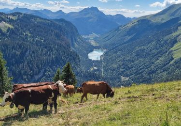 Randonnée Marche Abondance - Col de Bassachaux le lac vert 7 juillet 2022 - Photo