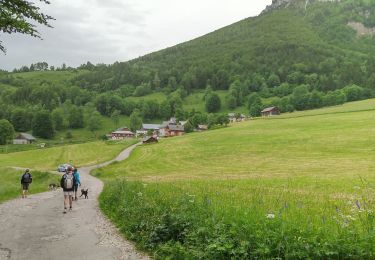 Percorso Marcia Entremont-le-Vieux - Refuge de l'Alpette - Photo