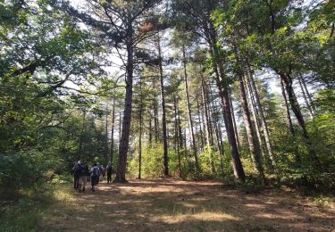 Randonnée Marche Plan-d'Aups-Sainte-Baume - Sentier merveilleux - La Ste baume - Le Plan d'aups  - Photo