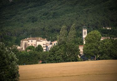Tocht Stappen La Touche - La Touche : Les Citelles et Serre Pointu 12km - Photo