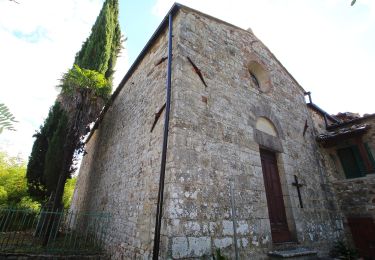 Tour Zu Fuß Castellina in Chianti - IT-349 - Photo