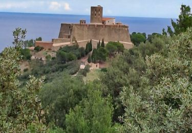 Excursión Senderismo Collioure - boucle autour de collioure  - Photo