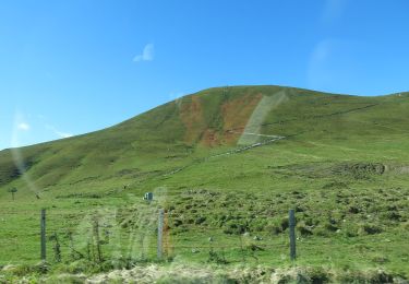 Tocht Te voet Laqueuille - La borne des quatre Seigneurs - Photo