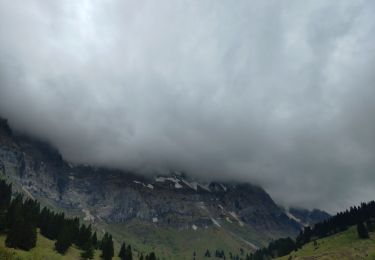 Trail Horseback riding Mont-Saxonnex - rando Bargy Yoan 2/2 - Photo