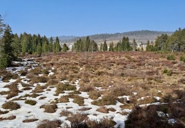 Excursión Senderismo Mouthe - Belvédère de la source du Doubs - Photo